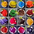 thumbnail image 2 of Tinte de cera para velas BLESIY 5g Material Planta Natural, 2 of 8