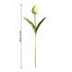 thumbnail image 3 of Cateissary Mini flor artificial, lirio único, tulipán, flor monarca, flor falsa de PU, decoración para el hogar y la Oficina, decoración para Flores artificiales verde Cateissary HA6563-09B, 3 of 6