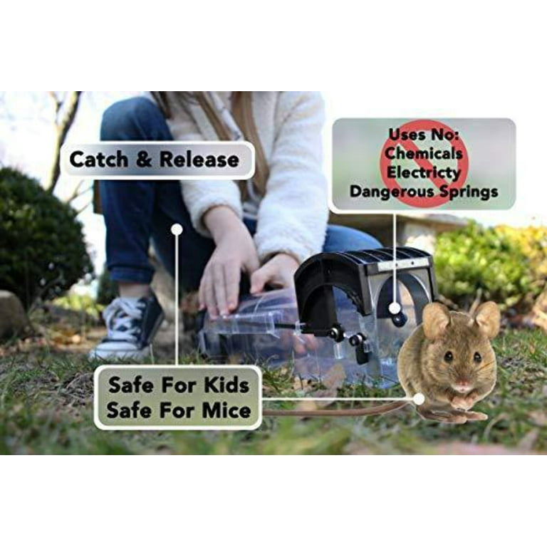 Peach Country Humane Smart Mouse Trap Live Catch and Release