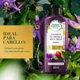 thumbnail image 3 of Acondicionador Herbal Essences Bio:Renew Passion Flower & Rice Milk Nourish 400 ml, 3 of 5