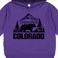 thumbnail image 3 of Inktastic Colorado Springs Colorado Toddler Hoodie, 3 of 4