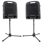 Peavey ESCORT 3000 300w Portable PA Powered Speaker System w/Mixer + 2 PVI Mics