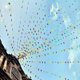 thumbnail image 3 of 100m Bunting Banner, Multicolor Flag Banners With 200 Pcs Triangle Flags, Nylon Fabric Bunting Banners For Birthday, Wedding, Outdoor, Indoor Activity, 3 of 5