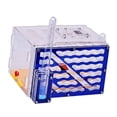 thumbnail image 5 of CarpNettore ANT Housing Nest ANT Farm Workshop Transparent Toys DIY with feed Hamper Display, 5 of 9