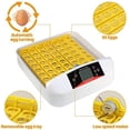 thumbnail image 2 of Incubadora de 56 huevos completamente automática Incubadora digital transparente Incubadora de huevos con pantalla LED de temperatura y control de humedad Adecuado para pavo/ganso/pájaro/codorniz/pollo Vhermosa BST3069437, 2 of 5