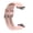 Pink PK, variant on Latrodar Fashion Replacement Watch Wrist Strap For Watch FIT Affordable&High-Quality Pink Home Decor