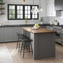 Jamesdar Kurv Steel Counter Stool 2 Piece Set in Black