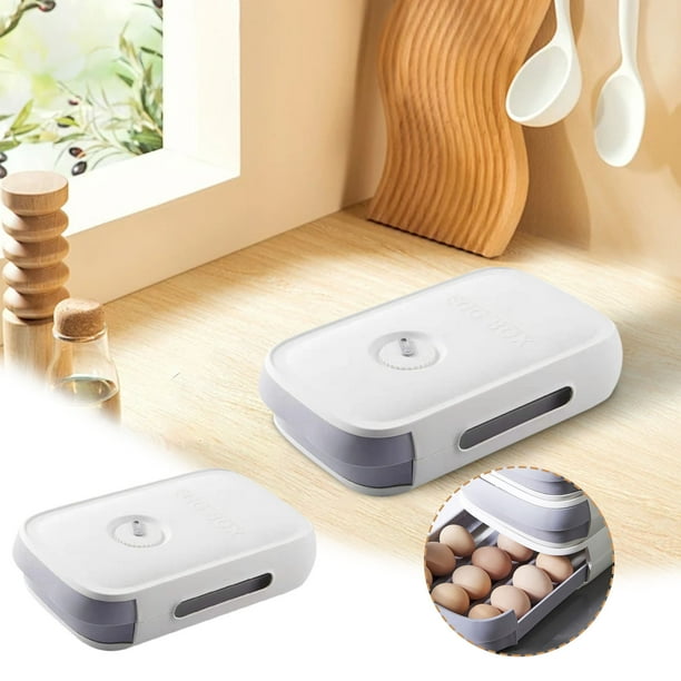 Fiudx Contenedor Refrigerante, Gran Capacidad, Tapa Organizadora Transparente, Ideal para Cocina, Ideal para La Familia, Fácil de Limpiar.