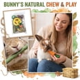 thumbnail image 2 of 14 Pcs Small Pet Chew Toy Set, Loofah and Wood Rabbit Molar Toys, Guinea Pig Boredom Reliever, Hamster Enrichment Kit, Natural Fiber Teething Accessories, 2 of 5