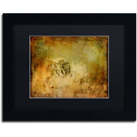 Trademark Fine Art "Send the Bees Love" Canvas Art by Lois Bryan, Black Matte, Black Frame