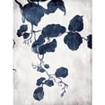 thumbnail image 3 of Villa, Milli 15x18 Black Modern Framed Museum Art Print Titled - Blue Hanging Leaves 2, 3 of 5