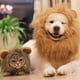 thumbnail image 5 of Traje de mascota para vacaciones Gato Sombrero de Halloween Perro Traje de Navidad - Traje de marinero para mascotas, Sombrero de león, Sombrero de Navidad oso de fresa  Juguete, 5 of 5