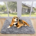 thumbnail image 3 of Softlife Super Soft Rug for Living Room Fluffy Rugs for Dorm Room Cute Plush Carpet for Bedroom,2' x 3',Gray, 3 of 7