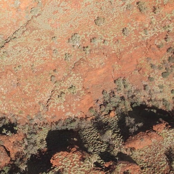 English,Lawrence / Dafeldecker,Werner - Tropic Of Capricorn - Music & Performance - Vinyl