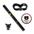 thumbnail image 4 of Set de juego de rol Miraculous Cat Noir con máscara, anillo, prenda y varilla, 4 of 9