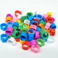 thumbnail image 2 of iherdsman 001-100 Multi-Color Bird Leg Bands Numbered 8 mm Pigeon Parrot Chicks Leg Band Duck Clip Rings Bands (Choose The Color You Want) (Red), 2 of 8