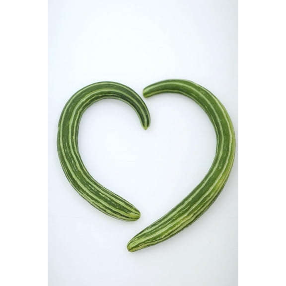 Striped Armenian Cucumber Salad Slicing Heirloom Premium Seed Packet