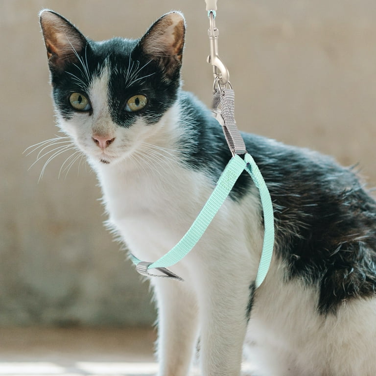Kitten Sling Carrier Adjustable Cat Harness Puppy Large Leash Leashes and Harnesses for Walking
