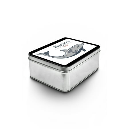 Dolphin Keepsake - Naples, Florida - Dolphin - Lantern Press Artwork (Keepsake Tin)