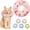 Pink Heart, variant on Minzimin 1Pack Cat Cone Collar Soft, Adjustable Cat Recovery Collars Spay Cones to Stop Licking, Cute Donut E Collar After Surgery, Anti-Lick Wound Healing Elizabethan Collar for Kittens