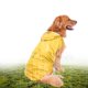 thumbnail image 1 of Chubasquero reflectante para perros y mascotas, ropa impermeable con orificio para correa, 6XL, para perros medianos y grandes, 1 of 8