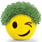 Emoji Winky Chia Pet Handmade Decorative Planter by JEI