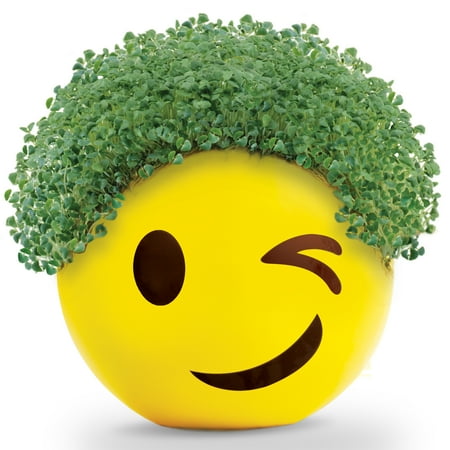 Emoji Winky Chia Pet Handmade Decorative Planter by JEI