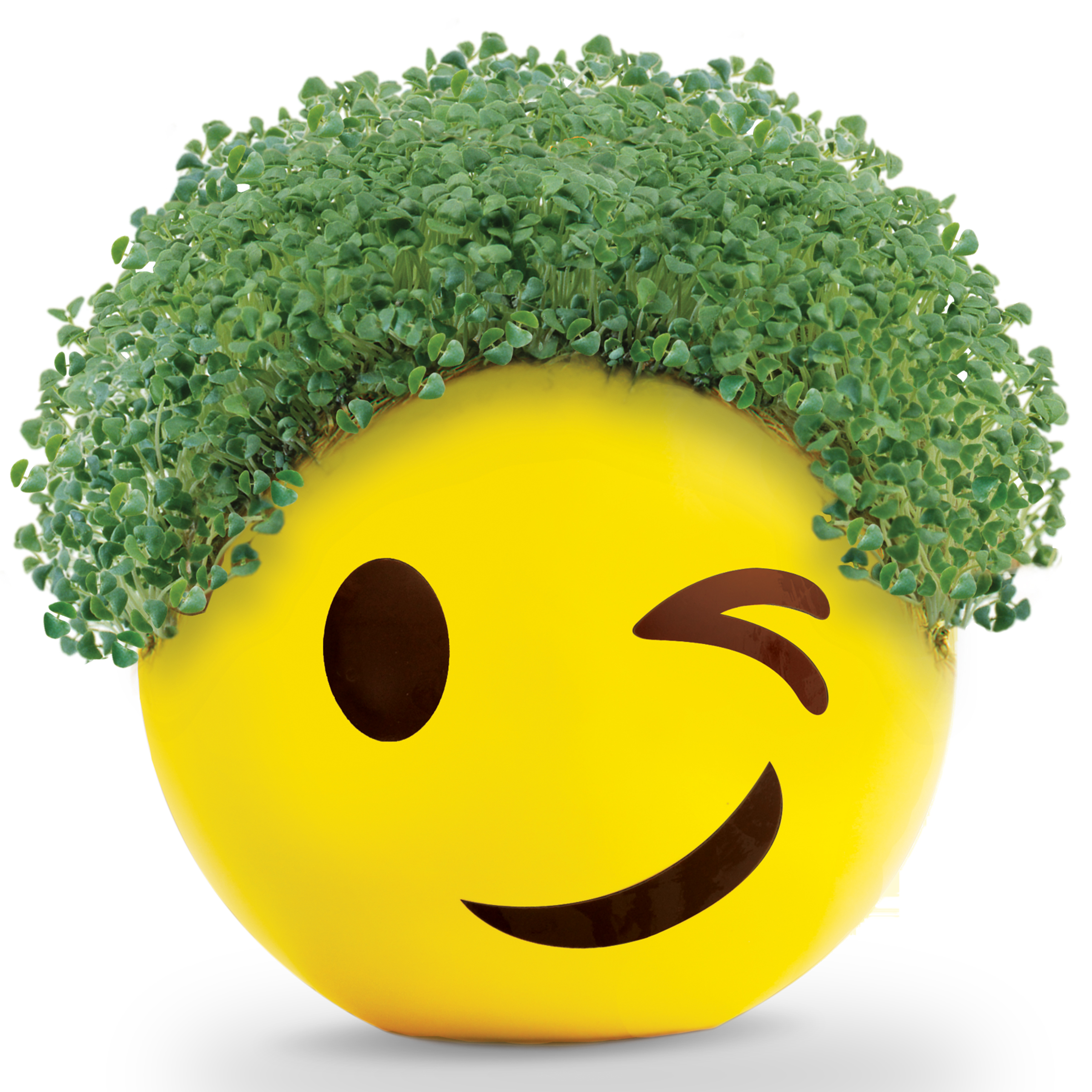 Chia Pet Winky Emoji - Decorative Pot Easy to Do Fun to Grow Chia Seeds - image 5 of 9