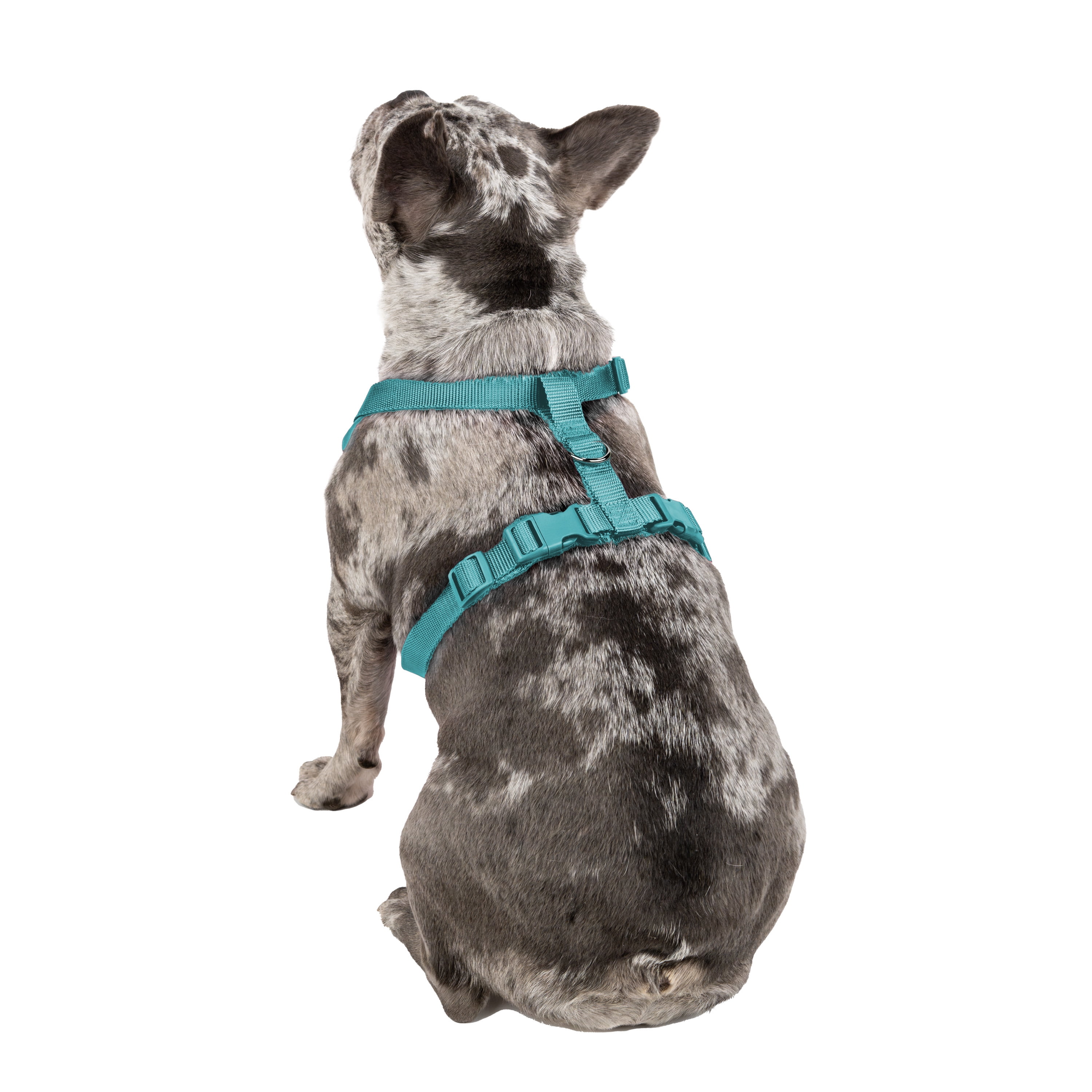 Vibrant Life Polyester Mesh Adjustable and Reflective Dog Walking Harness, Turquoise, M