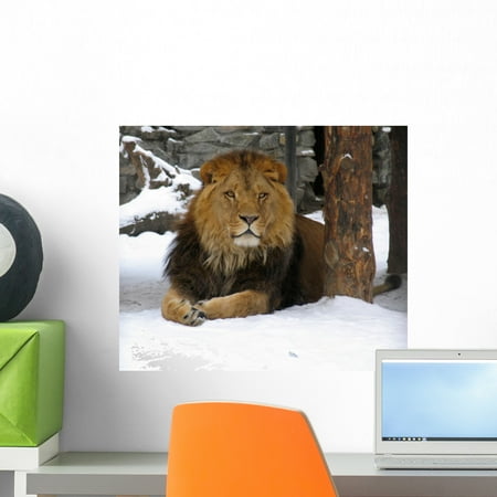 African Lion Wall Mural Decal Sticker, Wallmonkeys Peel & Stick Vinyl Graphic (18 in W x 14 in H