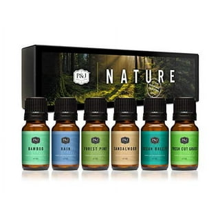 Woodshop Set of 6 Premium Grade Fragrance Oils - Forest Pine Fresh Cut Wood Leather Teakwood Bamboo Cedar