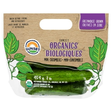 Fresh Organic Mini Cucumbers