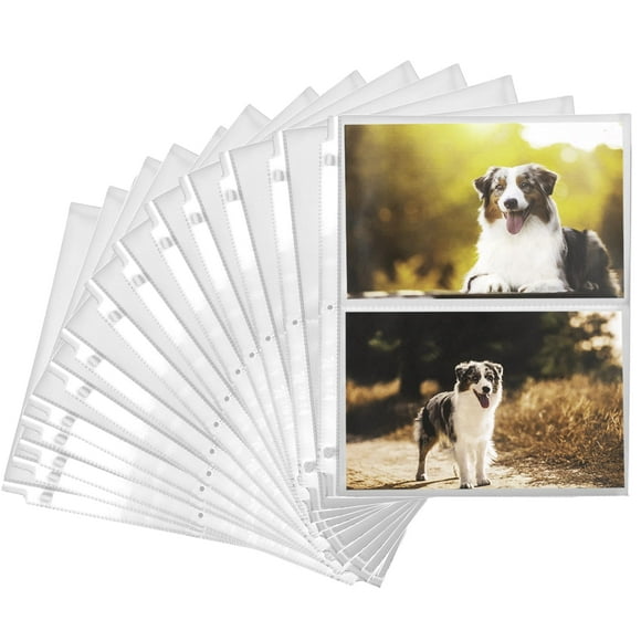 Samsill Inserts de Pochette Photo à 3 Anneaux avec 2 Pages Photo à Poche, Couleurs Assorties, 100 Unités, 1 Paquet