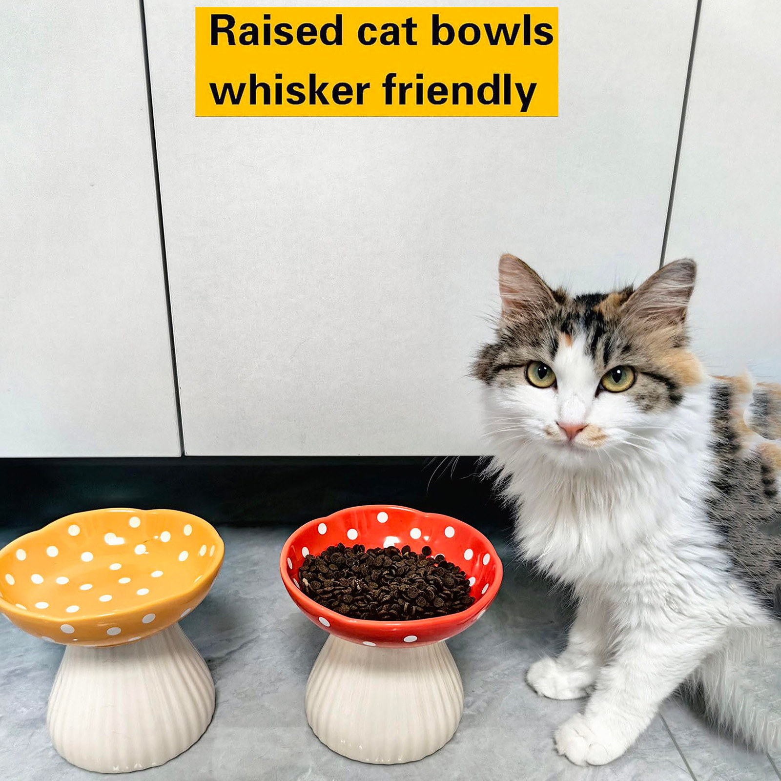 Elevated Ceramic Cat Dish for Whisker Fatigue Cute Raised Pet Food and Water Bowls with Non- Base