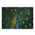 thumbnail image 1 of Peacock Cutting Board, Portrait of the Peacock Courtship Display Eye Spotted Tail Tropics Natural, Decorative Tempered Glass Cutting and Serving Board, Small Size, Orange Blue Green, by Ambesonne, 1 of 1