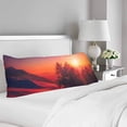 thumbnail image 2 of ABPHOTO Italy Body Pillow Covers Pillowcase Throw Pillows 20x60 inch, 2 of 2
