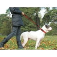 thumbnail image 2 of LAICAIW Laisse pour Chien en Corde 6 Pi avec Poignée Rembourrée Confortable, Laisse pour Chien à Fils Hautement Réfléchissants pour Grands Chiens, 1/2 Po, Rouge, 2 of 7