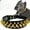 Black-gold, variant on 1Pack Adjustable Leather Spiked Studded Dog Collars with a Squeak Ball Gift for Small Medium Large Pets Like Cats/Pit Bull/Bulldog/Pugs/Husky