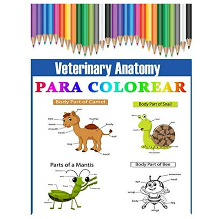 Veterinary Anatomy para colorear: Libro para colorear de anatomía animal y  fisiología veterinaria versión ingles para niños. | Walmart Canada