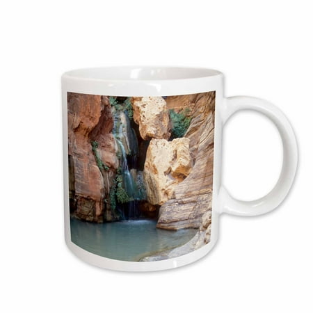 

3dRose Colorado River Grand Canyon Arizona - US03 JME0005 - John and Lisa Merrill Ceramic Mug 11-ounce