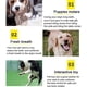 thumbnail image 5 of 10 Pieces Puppy Chew Toy Teething Training, Natural Cotton Rope Dog Rope Toy for Small to Medium Sized Dogs., 5 of 5