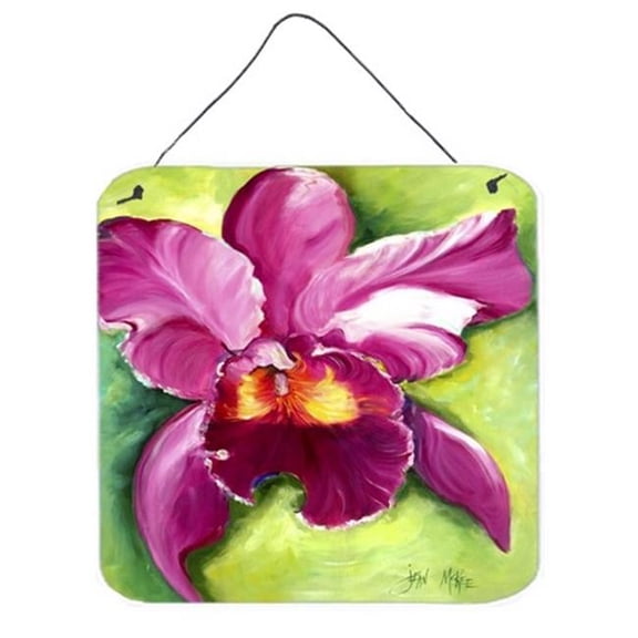 Orchid Wall and Door Hanging Prints