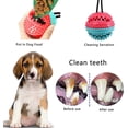 thumbnail image 5 of Juguete para perros azul y rojo con ventosa, juguetes masticables para perros, pelota de juguete multifuncional para la salud molar de mascotas, eficaz para la limpieza dental y duradera., 5 of 5