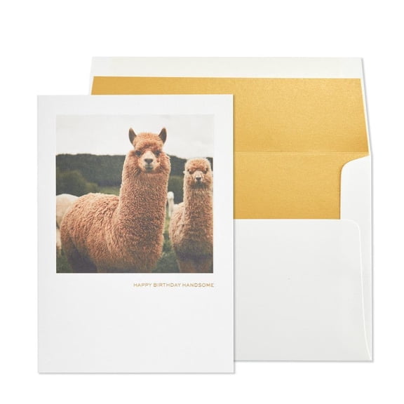 NIQUEA.D, Llama Birthday Card