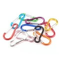thumbnail image 2 of Carabiner 10 pcs Unbranded Aleación Clip Carabiner Aleación, 2 of 6