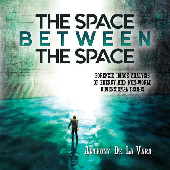 The Space Between the Space: Forensic image analysis of energy and non-World dimensional beings, (Paperback)