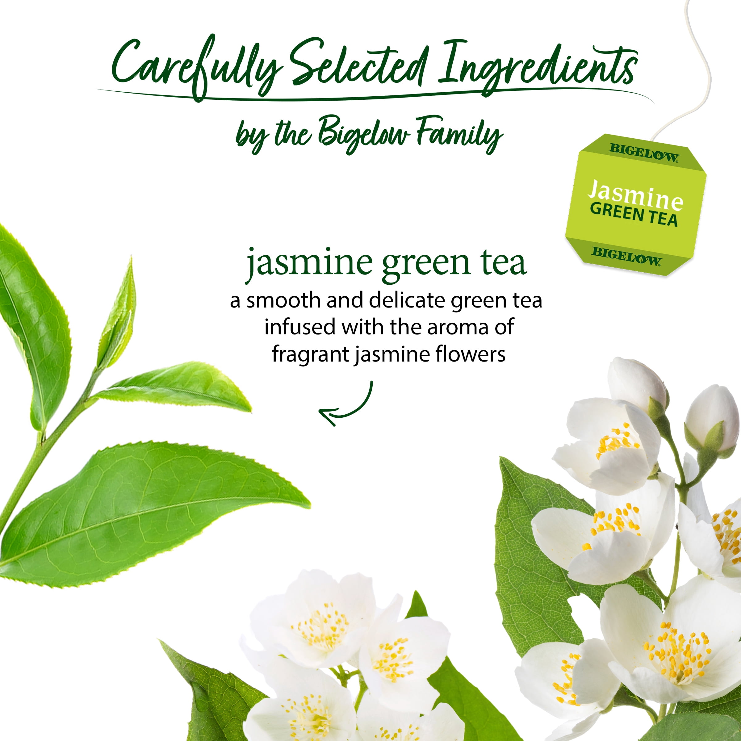 (3 pack) Bigelow Jasmine, Green Tea Bags, 20 Count