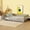 Gray, variant on Noble House Queen Floor Bed with Safety Guardrails and Door, Rubber Wood Montessori Bed, Kid's Room, White