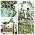 thumbnail image 7 of Awwp 6 Pack Artificial Ivy Garland, 82.7" Long Faux Green Vines with 72 Leaves Each, Cloth Leaves Plastic Stems, for Home Wall Decor, Wedding Party, Indoor Outdoor, Artificial Plants, 7 of 7