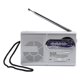 thumbnail image 1 of Radio de plástico multiusos, receptor de bolsillo, sensible, uso diario, equipos de recepción para ancianos, Radios inalámbricos, 1 of 4